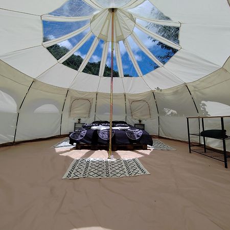 Luna Rock Glamping Brezoi - Blue Scai Экстерьер фото
