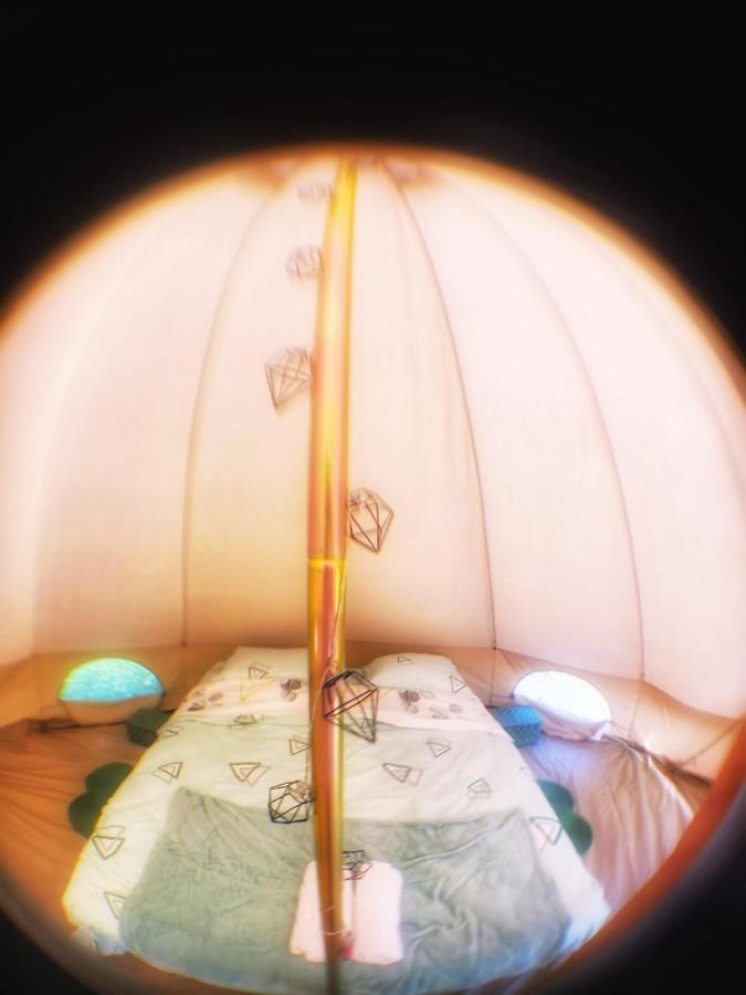 Luna Rock Glamping Brezoi - Blue Scai Экстерьер фото
